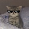 𝑺𝒏𝒐𝒘 ᥫ᭡'s profile picture