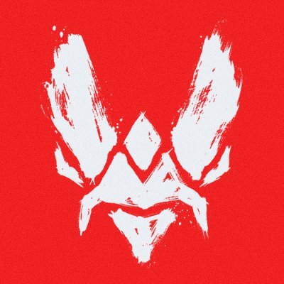 TeamVitalityVAL's profile picture