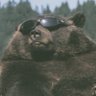 Guillermo Guantes profil fotoğrafı
