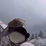 mist 的头像