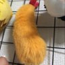 えび天〜🍥 profil fotoğrafı