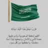 لعلّها خيرة💚🇸🇦💚 profil fotoğrafı