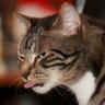 Фото профиля Justin Brash