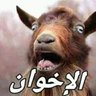 ضد الاخوان المفلسين الارهابين وضد الماجوس profil fotoğrafı