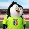 Profilbild von pinguim coral 🐧 🏴🏳️🚩
