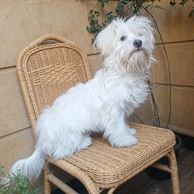lisa__days's profile picture