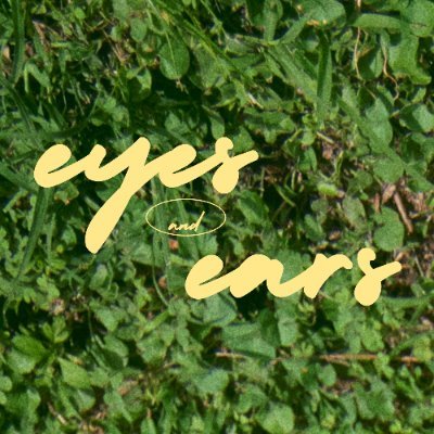 hereyesandears_'s profile picture