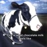 Profilbild von ESTR