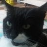 Profilbild von Marie Everton