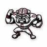 Big Brain Bulldog 的头像