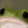 страдающее викториковье's profile picture