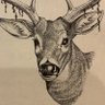 マダタスカル profil fotoğrafı