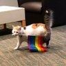Nom's profile picture