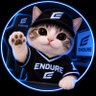 endure's profile picture