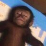 Profilbild von Taka