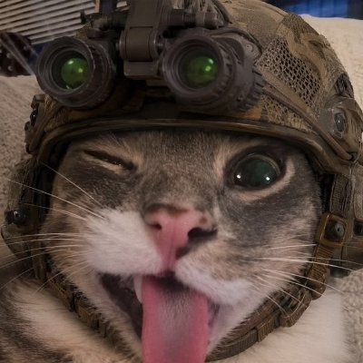 una_meowmeow's profile picture