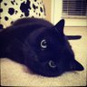 Timo's profile picture