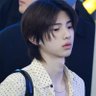nicolas ⭐'s profile picture