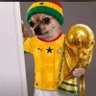 gossip's profile picture