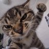 Bita profil fotoğrafı