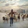 Abu Yahia 的头像