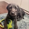caleb profil fotoğrafı