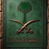 Profilbild von سلطان 🇵🇰 🇹🇷 🇸🇦