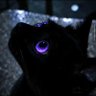 TuTooth's profile picture
