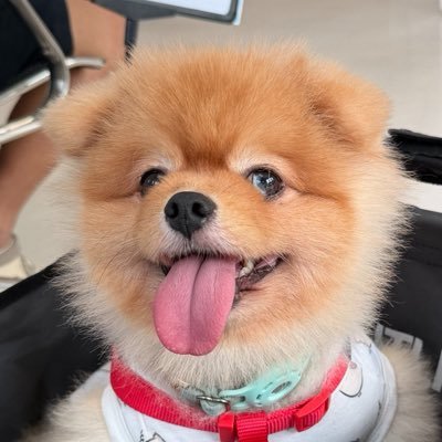 Chubby •福福•'s profile picture