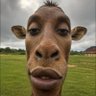 Bayingana's profile picture