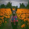 Фото профиля Joseph 🇲🇽