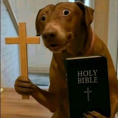 Элен и Чёрный плащ's profile picture