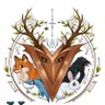 V-Fauna profil fotoğrafı