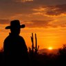 Profilbild von The Desert Wolf
