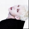 lucas bundão do bangchan's profile picture