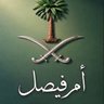 Profilbild von أم فيصل 🇸🇦💚🤍