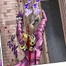 ᳂⃝᳂᳂爪乇ㄥㄥㄚ/爪乇ㄥㄖ几乇 ᳂᳂ profil fotoğrafı