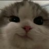 HHHH's profile picture