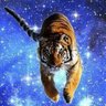 ִֶָ's profile picture