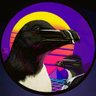 Razorbill MMA 的头像