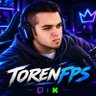 TorenFPS's profile picture