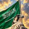 محمدال جابر's profile picture