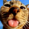 Profilbild von MichifⓊs