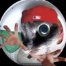 Rudi aus Buddeln's profile picture