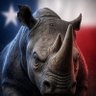 @TheRhino84's profile picture