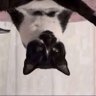 Profilbild von Frank