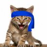 Banbo's profile picture