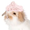 Фото профиля ︵˚༘⋆¡Luu!🎀◌Ⳋྀི ₊