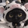 うにょ ̳ˆ. ̫ .ˆ ̳ profil fotoğrafı