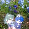 Naduki_💙💚【🎲🌟⌛】 的头像